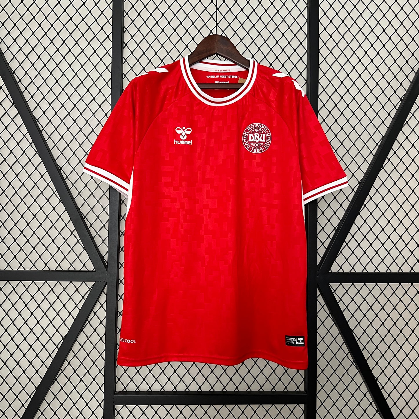 Denmark Home 2024